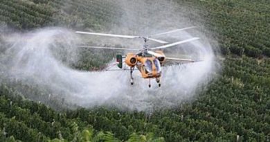 Elicottero che irrora di pesticidi dei vigneti in Veneto