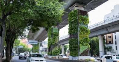 Ambiente urbano con giardini verticali intorno a una strada e con delle macchine di passaggio