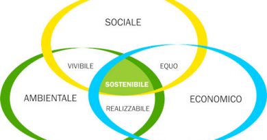 Grafico che spiega come si raggiunge la sostenibilità dai vari fattori sociali