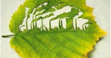 Foglia di albero con all'interno un disegno fatto a fabbriche che emettono inquinamento