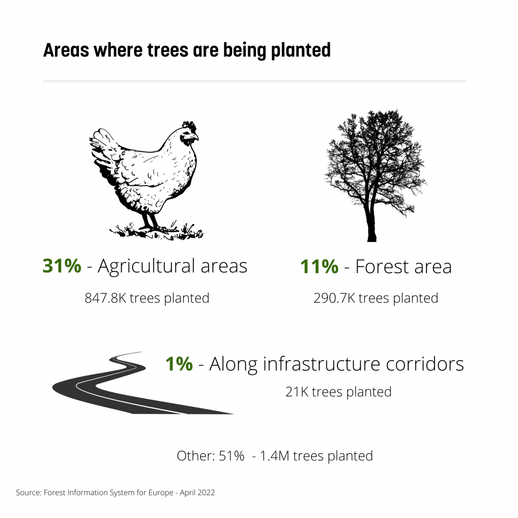 Aree in cui sono stati piantati gli alberi nella riforestazione nell'Unione Europea
