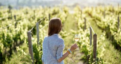 cambiamento climatico nel vino e nel vitigno