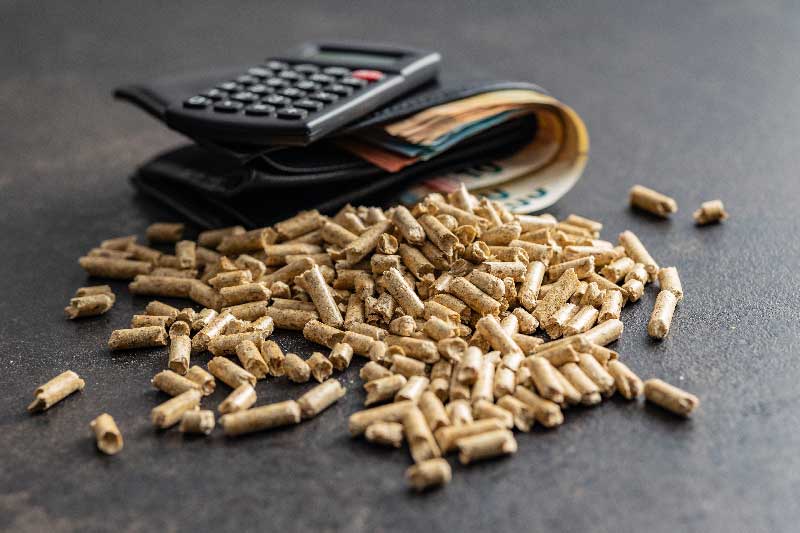 Biomasse: la fine dei sussidi?